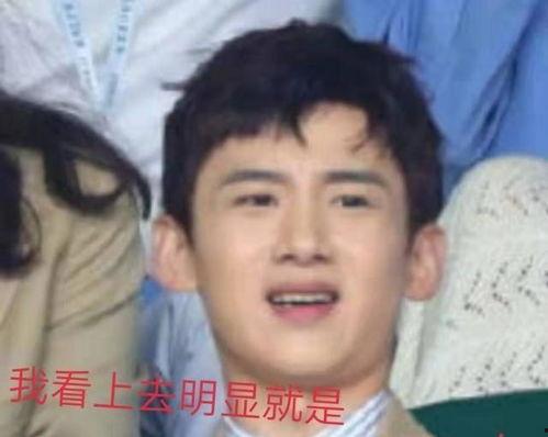 娱乐八卦吃瓜白敬亭,娱乐圈的“吃瓜达人”，揭秘明星幕后故事